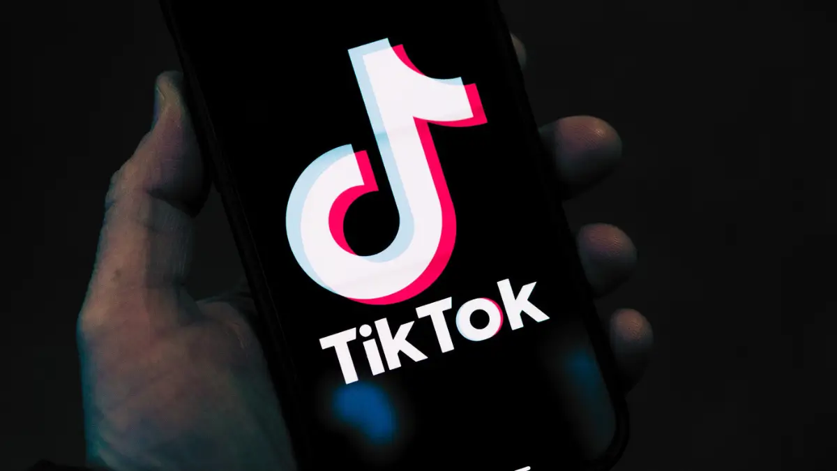 TikTok India Comeback